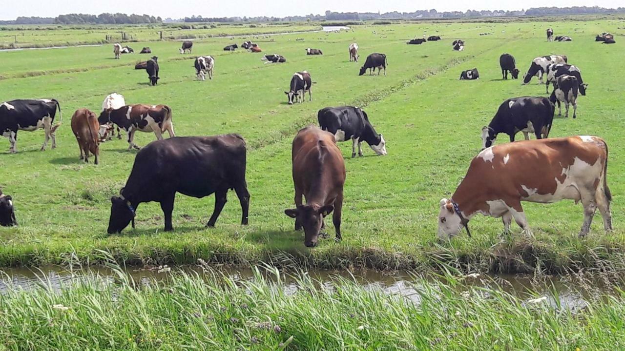 Apartament Noord-Hollands Hof Dream Spijkerboor Zewnętrze zdjęcie